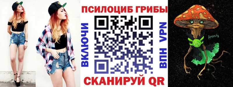 Псилоцибиновые грибы Cubensis  Рыбное 
